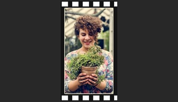 Moving the duplicate of the shape