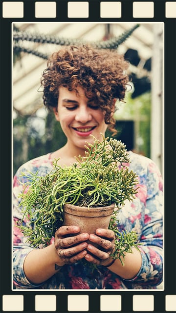 How image should look after adding all the effects