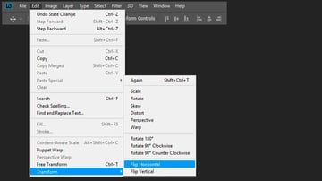 flipping  the duplicate of the shape