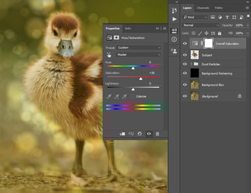 Adjusting saturation
