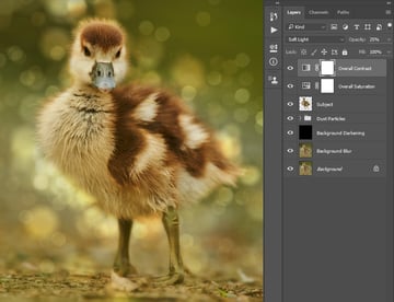 Changing blending mode and opacity