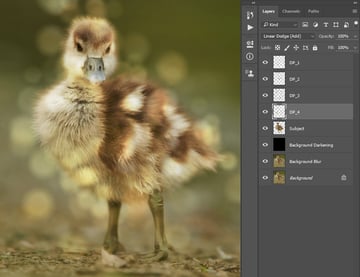 Creating more dust particles