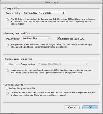Settings for smaller DNG File in Adobe Camera RAW DNG Converter