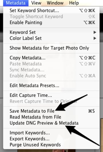Updating Metadata to DNG Files