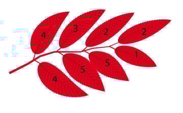 branch with mesh leaves