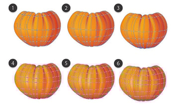 gradient mesh tutorial