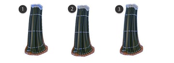 thanksgiving background vector