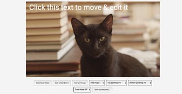 How to make video memes online