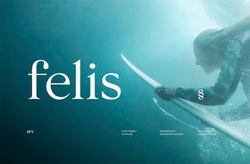 Felis Serif Font