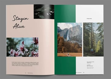 Staying Alive Photography Brochure Design 