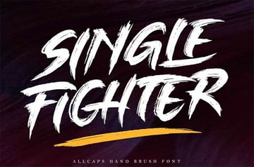 Single Fighter Mean Fonts