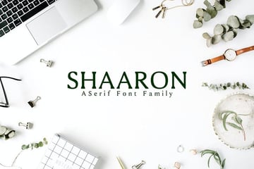 Shaaron Transitional Font Examples