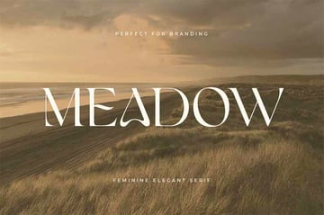 Big Bang Feminine Fonts