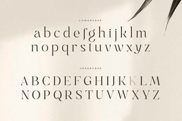 Gray Brand Font