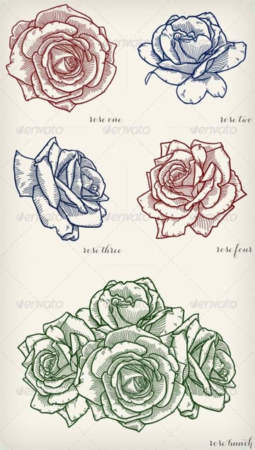 Detailed Vector Roses