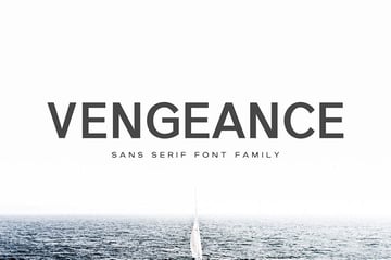 Vengeance