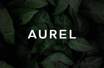 Aurel