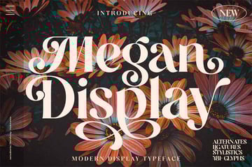 Megan Display
