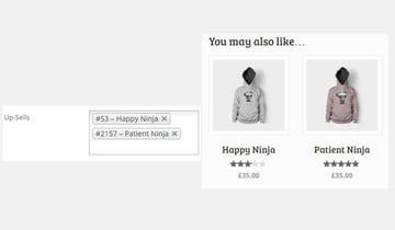 Shop page showing a product with another product as a recommendation