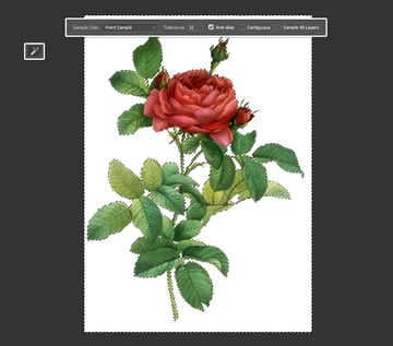 Select the White Area