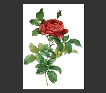 Invert the Selection and Copy