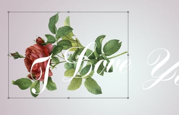 Transform the Flower