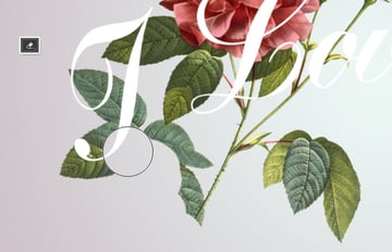 Erase any Unwanted Parts