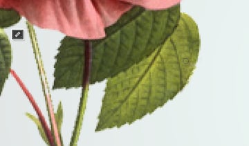 Healing Brush Tool Fix