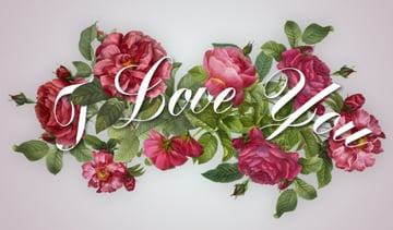 Erase Unwanted Shadow Parts