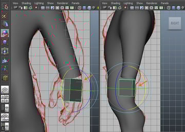 place the hand mesh correctly