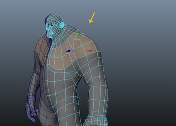 Select the indicated chest area