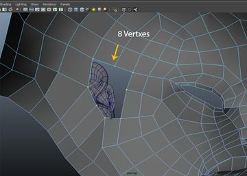 Identical number of vertices