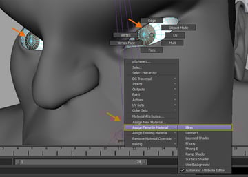 Follow the same procedure for the pupils
