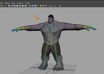 Body rigging done