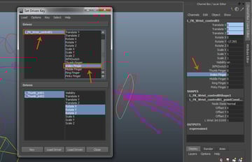 Index Finger attribute