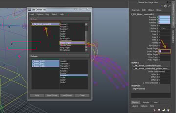 Index Finger attribute