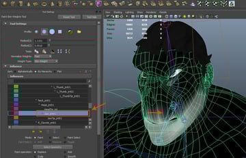 Paint Skin Weight Tool Settings