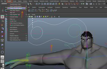 Modify  Freeze Transformations