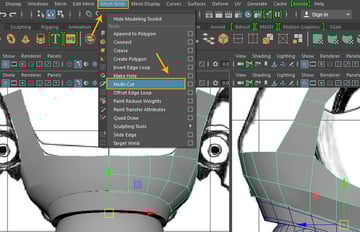 Mesh Tool  Multi-Cut