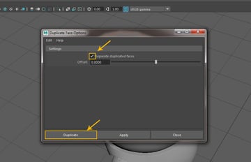 Duplicate Face Options