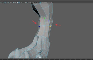 Same number of vertices