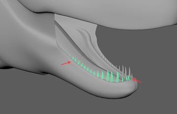 It creates the duplicate teeth group