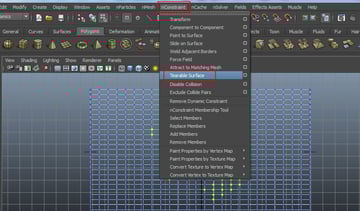 nConstraint  Tearable Surface