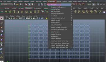 nConstraint  Transform