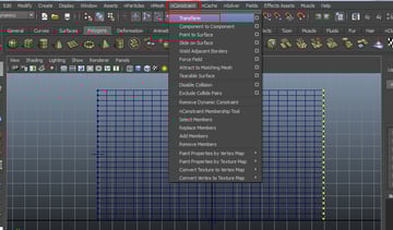 nConstraint  Transform