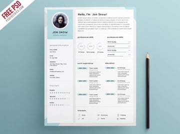 4. Clean resume CV