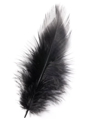 feather 