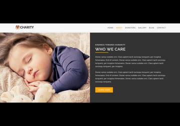 CHARITY - Responsive HTML Landing Pages