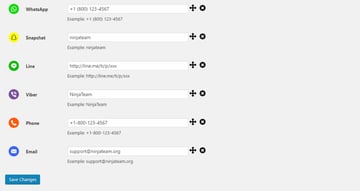 WordPress All-in-one Support 