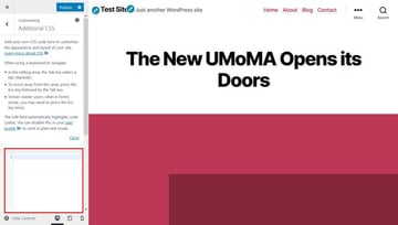 Additional CSS box in Customizer